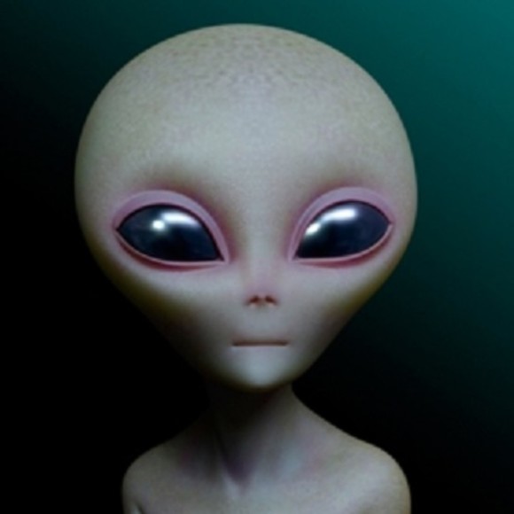 greenguy93306